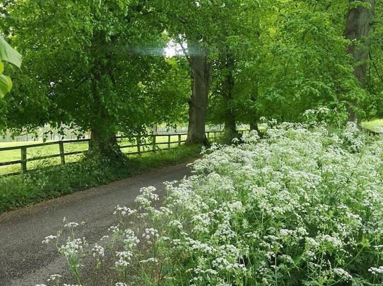 Holly House Bed & Breakfast