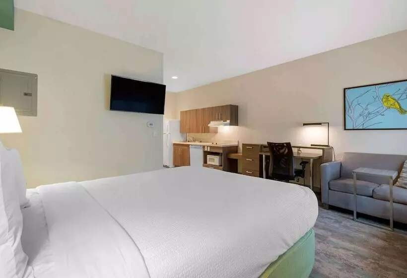 ホテル Extended Stay America Premier Suites  Greenville  Woodruff Road