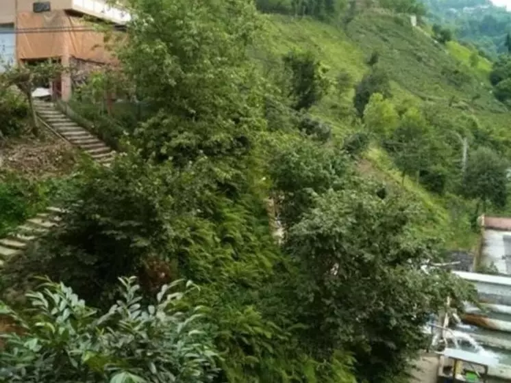 Yesil Doga Tatil Apart