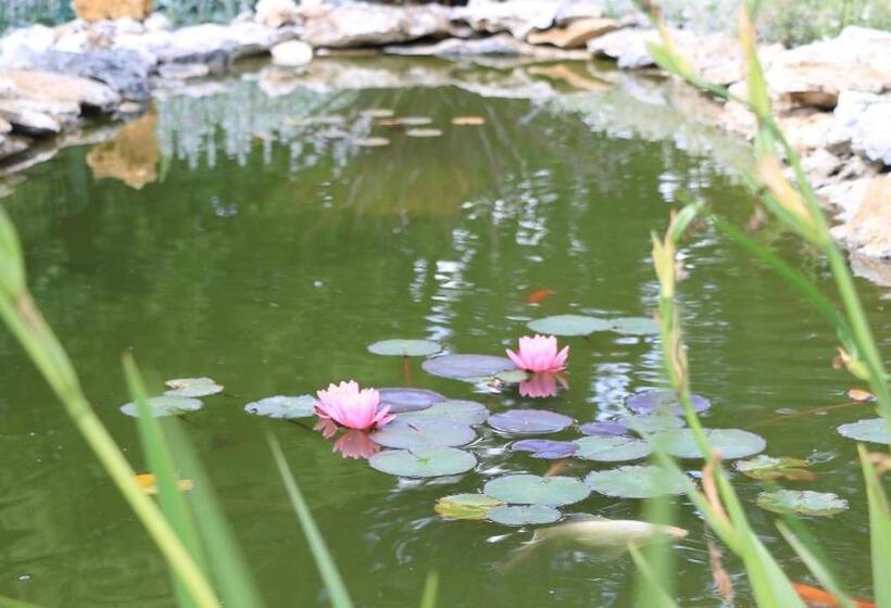 住宿加早餐  Chambre D Hotes La Quercynoise