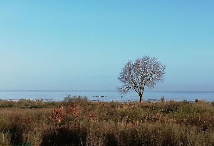 ベッドアンドブレックファースト Le Pilotis