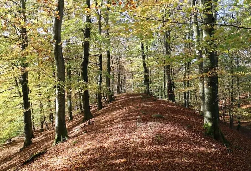 Grottbyn   Skånes Djurparks Camping