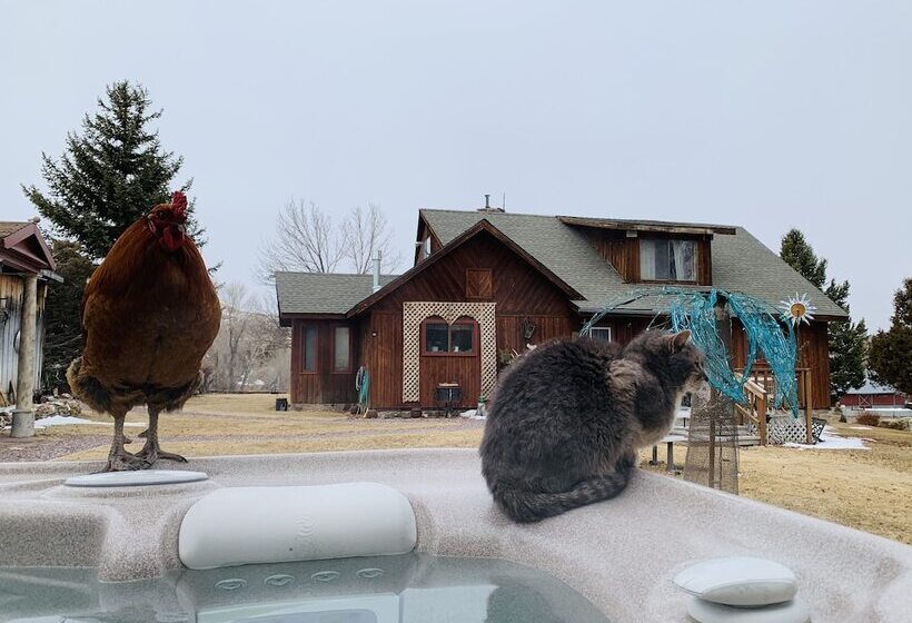 Just An Experience B&b