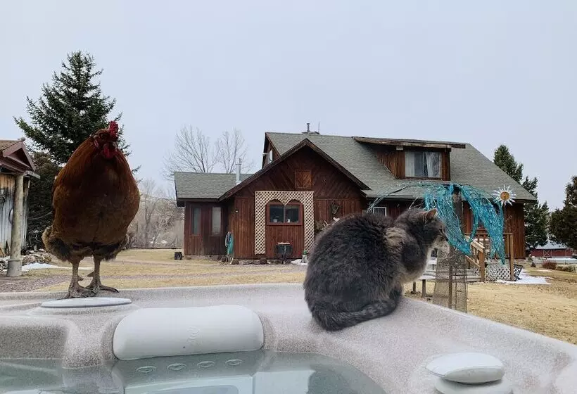 Just An Experience B&b