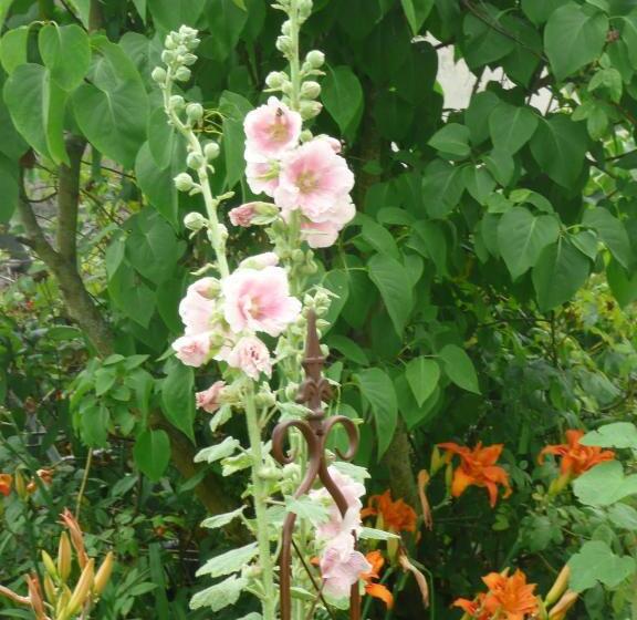 Majatalo Les Lilas De Bellefontaine
