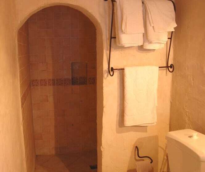 בית מלון כפרי Arisha