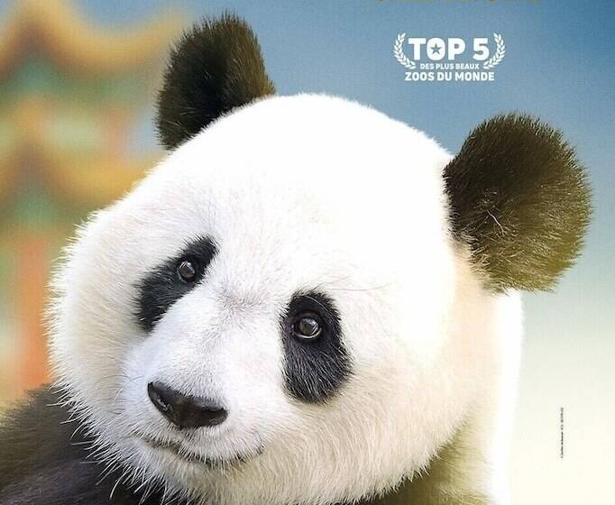 بنسيون Chambre D Hotes Les Rives De La Tronne