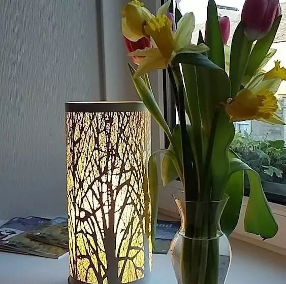 Aamiaismajoitus (B&B) Basset Cottage