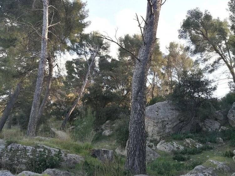 Bed and Breakfast Chambre D Hotes La Cigalière