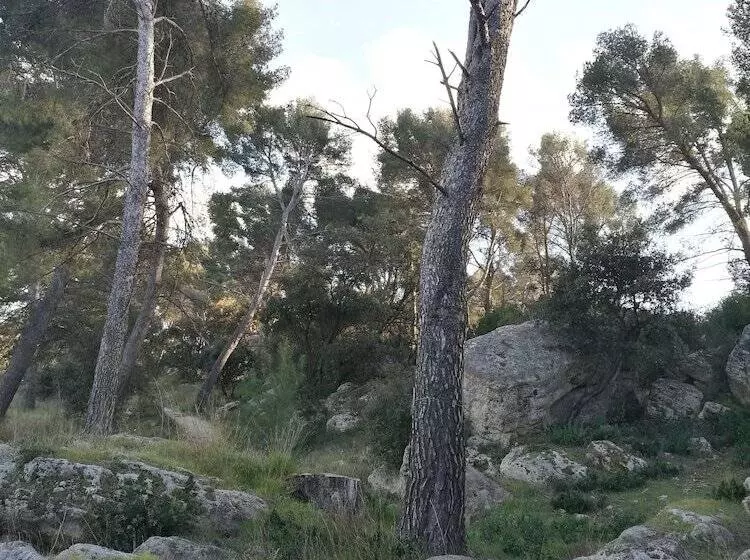 تختخواب و صبحانه Chambre D Hotes La Cigalière