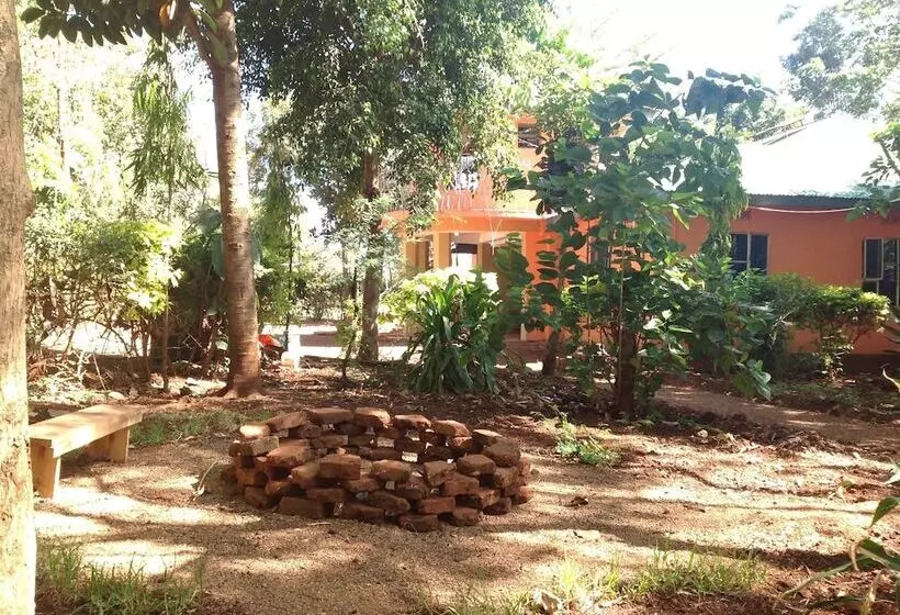 تختخواب و صبحانه Frina Buffalo Lodge