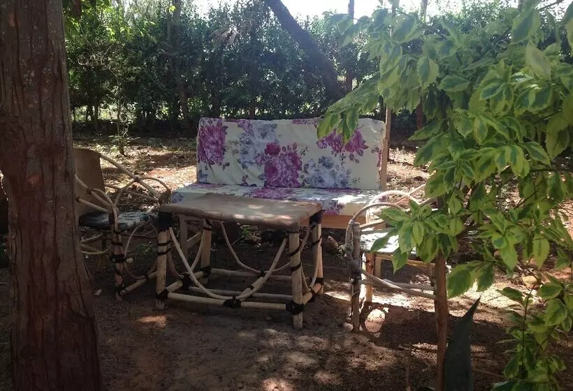 تختخواب و صبحانه Frina Buffalo Lodge