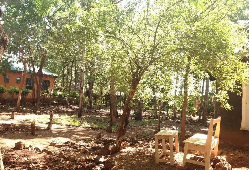 تختخواب و صبحانه Frina Buffalo Lodge