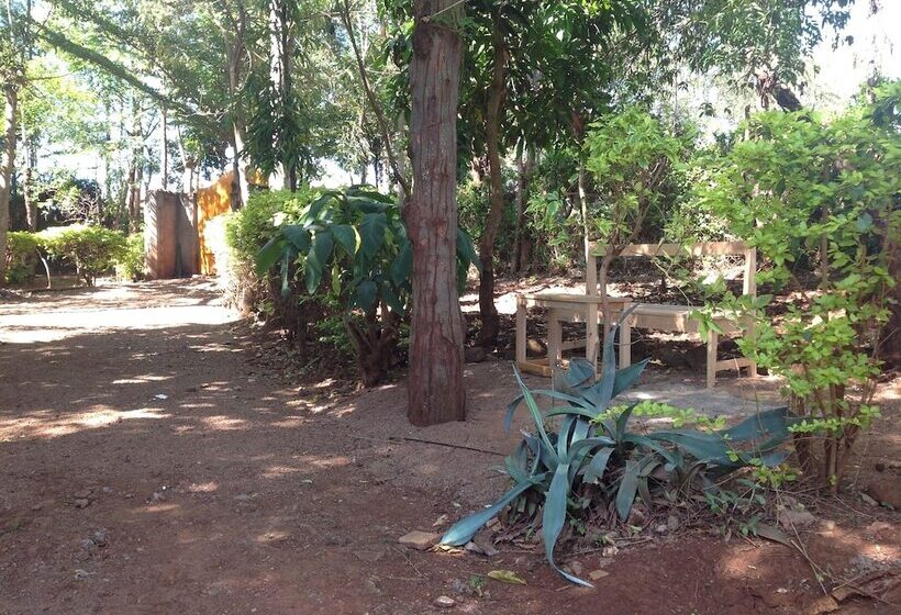 مبيت وإفطار Frina Buffalo Lodge