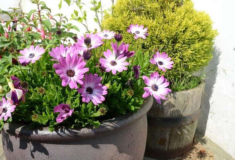 민박 The Barn At Collacott