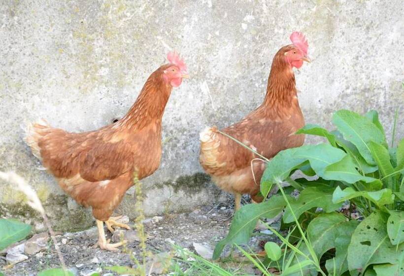 민박 The Barn At Collacott