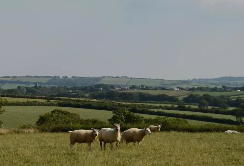 تختخواب و صبحانه The Barn At Collacott