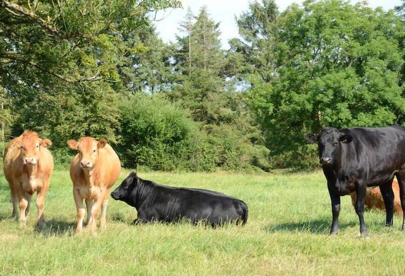 민박 The Barn At Collacott