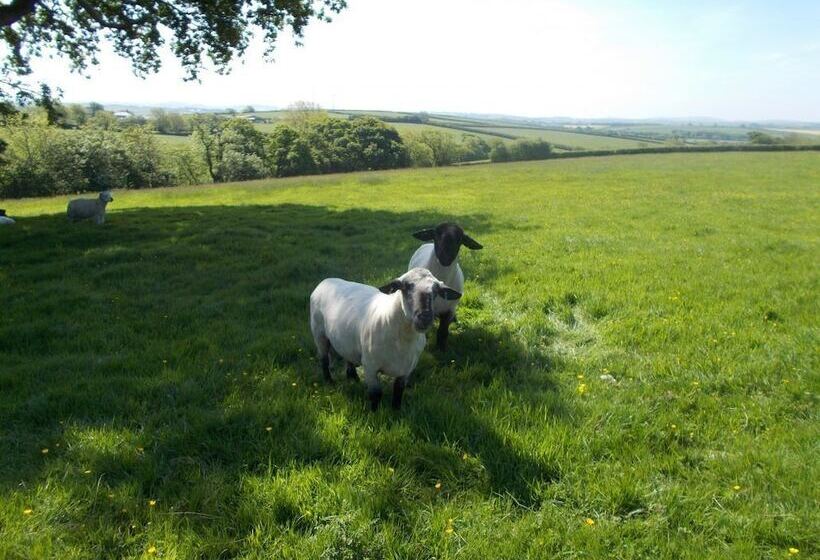 민박 The Barn At Collacott