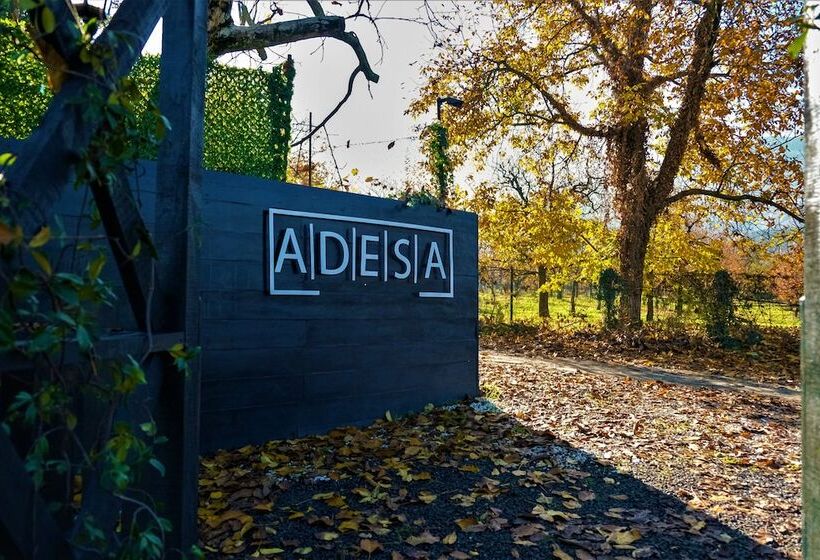 酒店 Adesa Bungalow