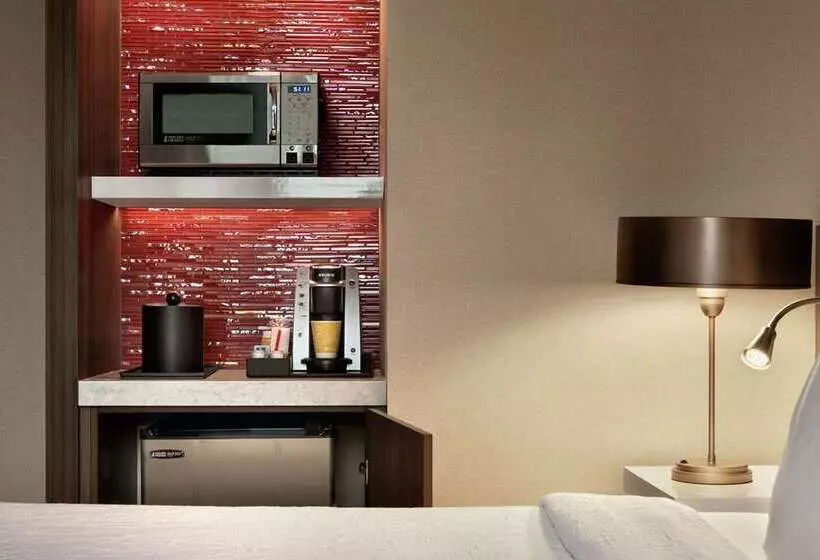 هتل Hilton Garden Inn Chicago Downtown South Loop