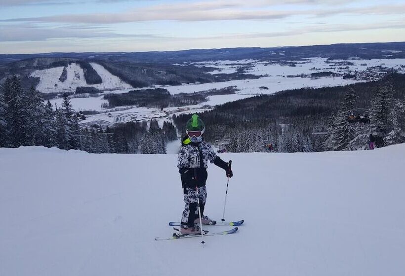 בית מלון כפרי Igma Lodge