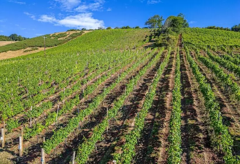 Hotelli Old Walls Vineyard