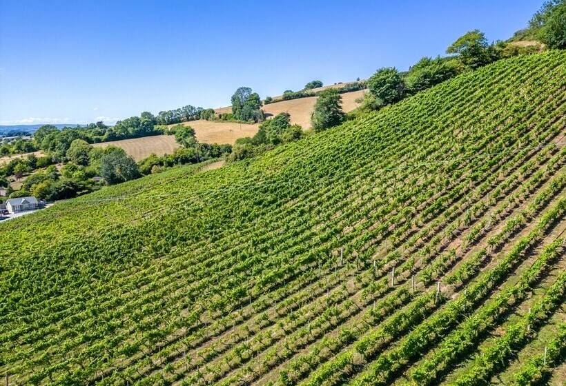 호텔 Old Walls Vineyard