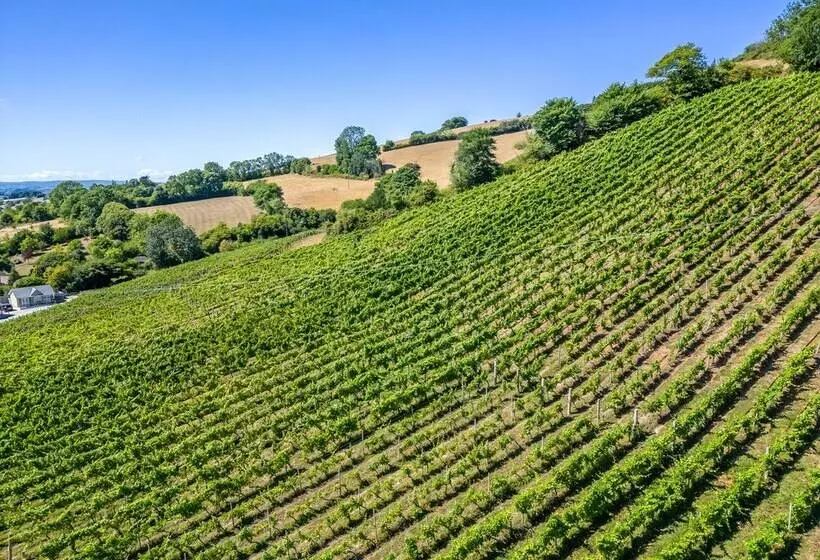 Hotelli Old Walls Vineyard