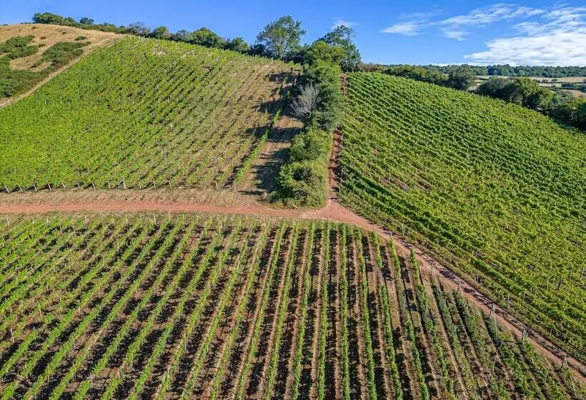 Hotelli Old Walls Vineyard