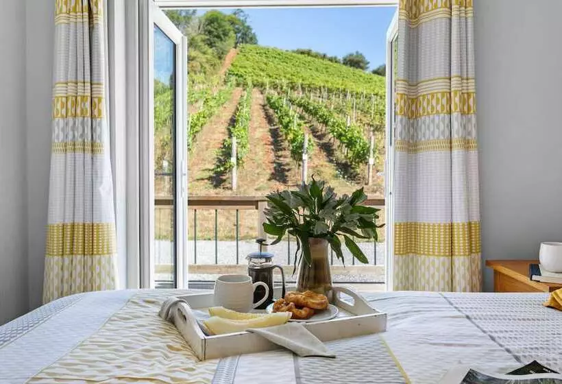 Hotelli Old Walls Vineyard