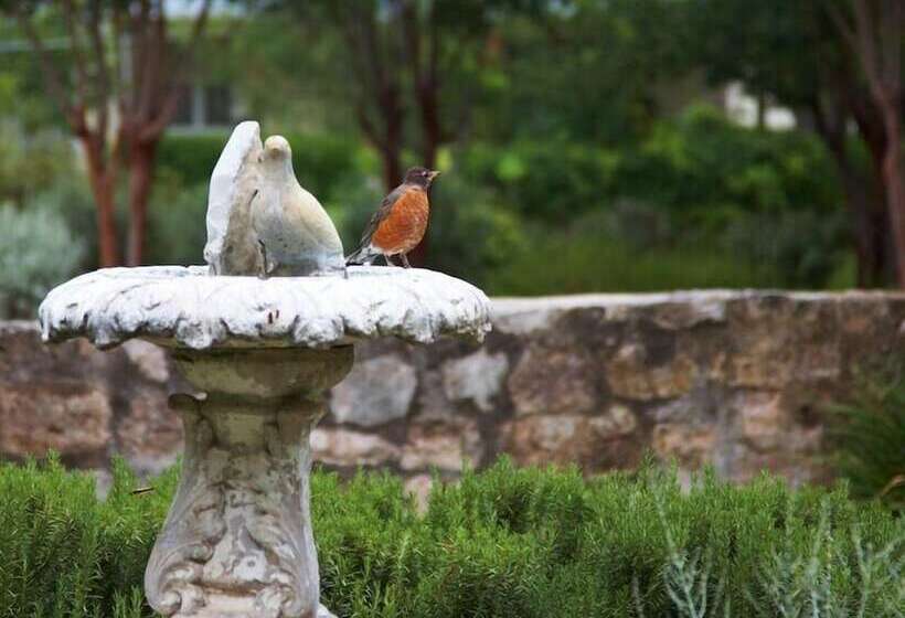 Bed and Breakfast Hoffman Haus