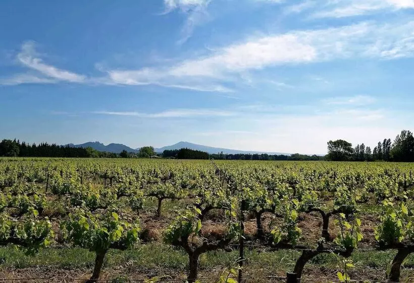 ベッドアンドブレックファースト Mas Du Clos De L Escarrat