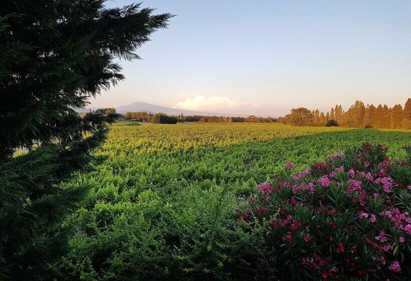 ベッドアンドブレックファースト Mas Du Clos De L Escarrat