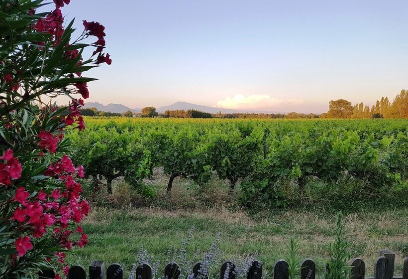 ベッドアンドブレックファースト Mas Du Clos De L Escarrat