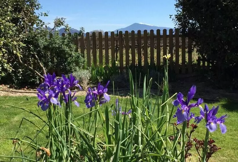 ベッドアンドブレックファースト Mas Du Clos De L Escarrat