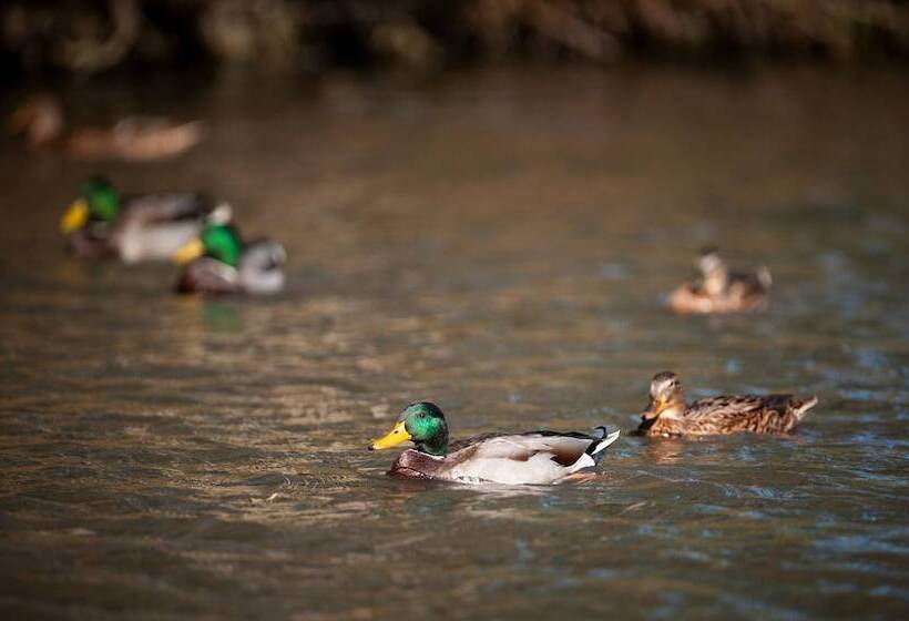 Goss Hall Bed & Breakfast