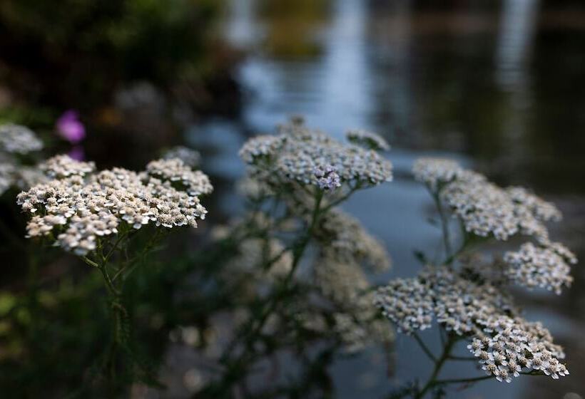 Goss Hall Bed & Breakfast