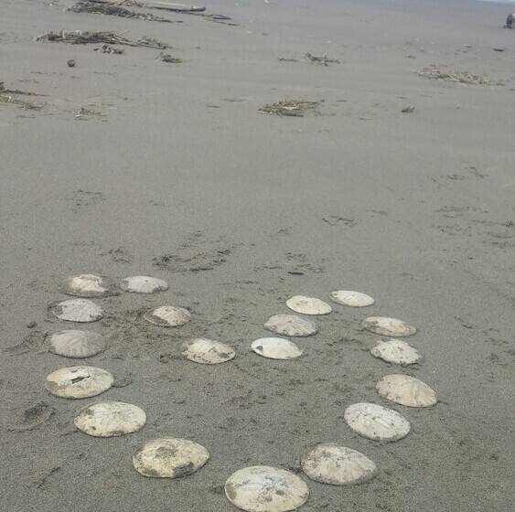 Отель Shakti Cove Cottages