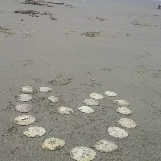 Hotelli Shakti Cove Cottages