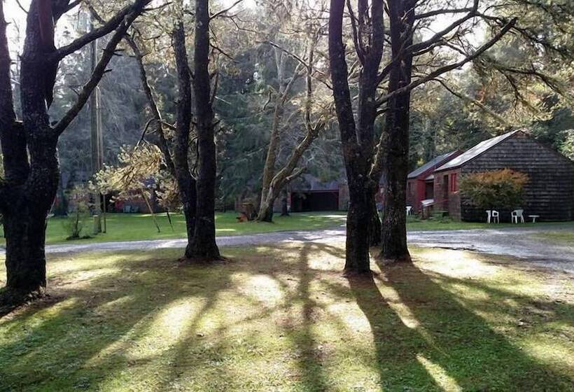 Отель Shakti Cove Cottages