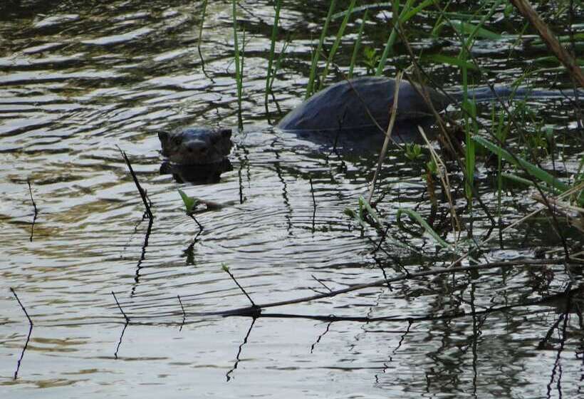Отель Shakti Cove Cottages