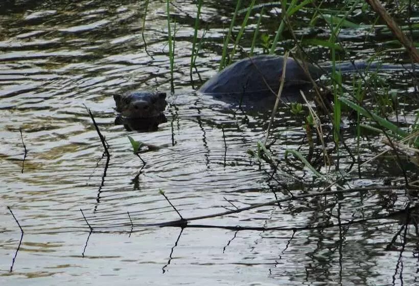 Hotelli Shakti Cove Cottages