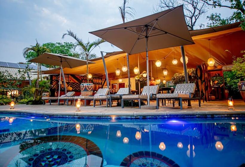 هتل Shongwe Lookout