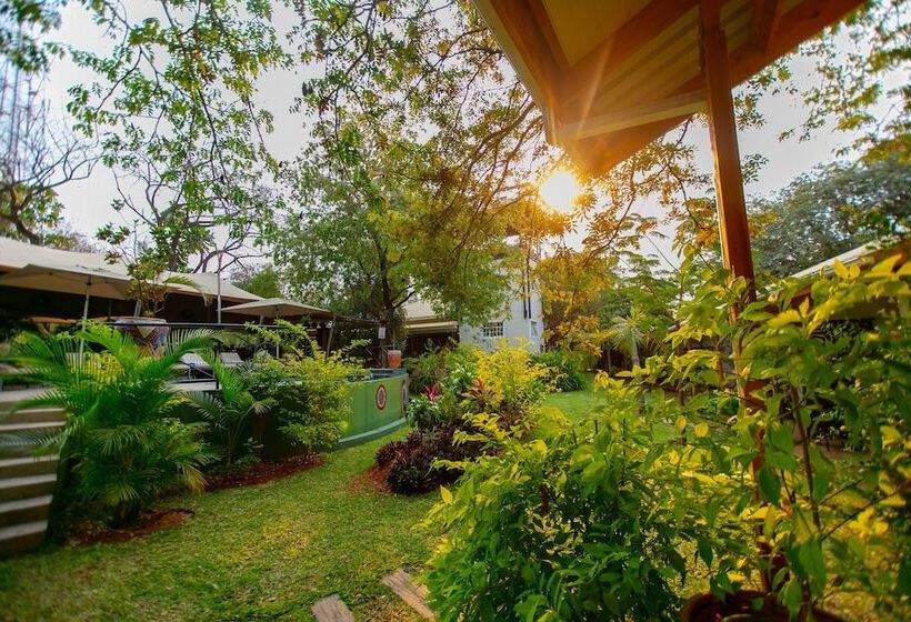 هتل Shongwe Lookout