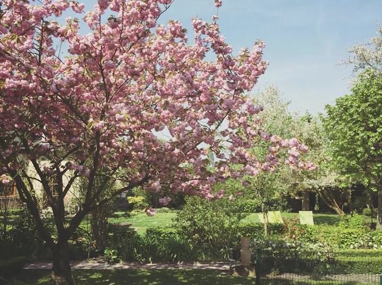 مبيت وإفطار Comme Une Parenthèse