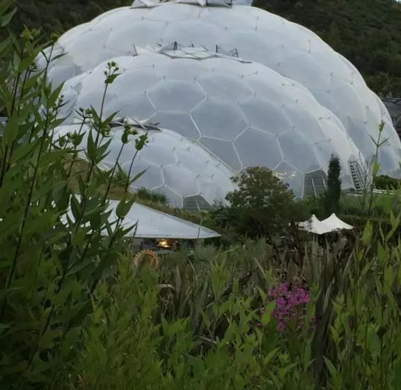 ベッドアンドブレックファースト Vine Cottage