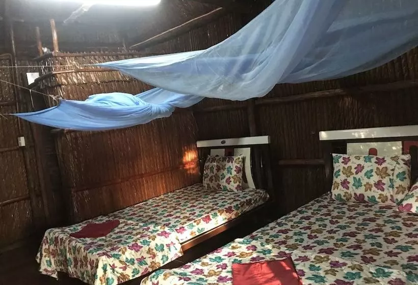 هتل Dan Sinh Homestay