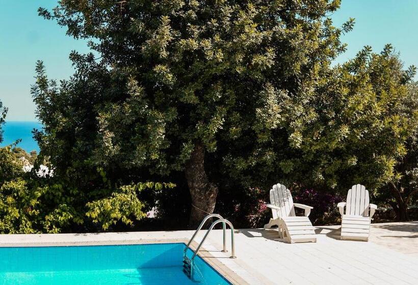 هتل Likya Yolu Palas