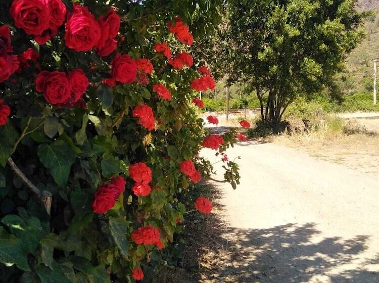 هتل Mavi Pansiyon